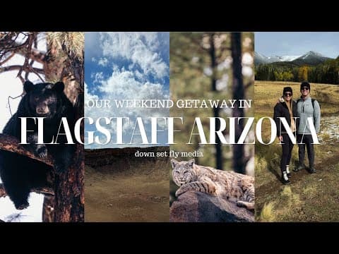 Weekend Getaway in Flagstaff, AZ | Hikes, Wildlife, History, Breweries, Museums, & Arizona's Wonders