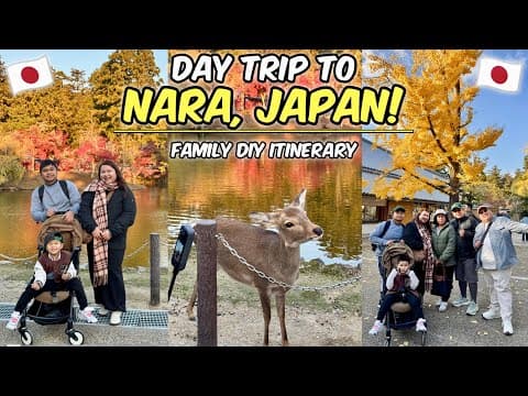 Nara Park Day Trip Guide for Families (Kid-Friendly!) | JM Banquicio
