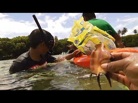 Lokijeek: Seafood Day, Majuro, Marshall Islands