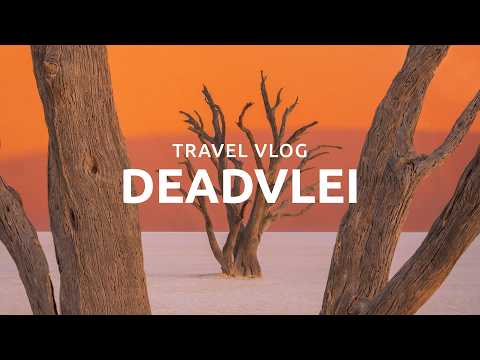 The Most Surreal Place on Earth? NAMIBIA Travel Vlog 🇳🇦