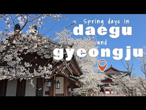 [Spring in Korea 2025] EP.3: Daegu & Gyeongju spring trip vlog | Cherry Blossoms 🌸🌸