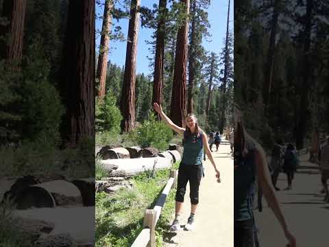 Top 5 Things To Do In Yosemite National Park | Travel Guide 2025