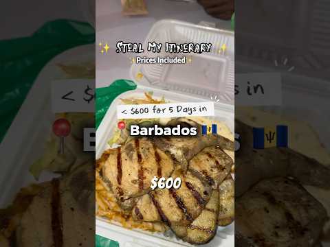 5 Days in Barbados for Under $600 🇧🇧✨ Steal My Itinerary