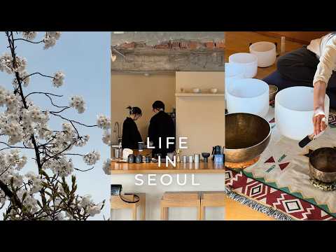 Seoul Vlog - Spring Bukchon Walk | Where to Eat, Drink & Shop | Anguk & Samcheong | Cherry Blossoms