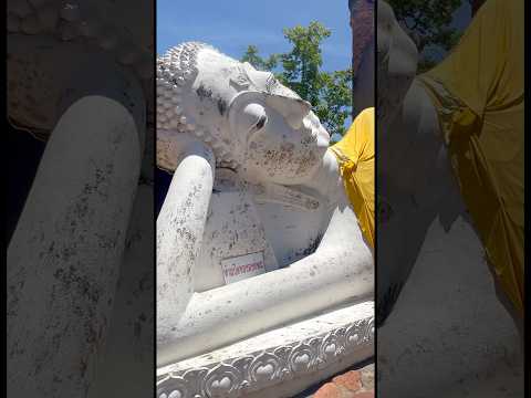 Exploring the Sacred Buddhas of Ayutthaya, Thailand 🇹🇭