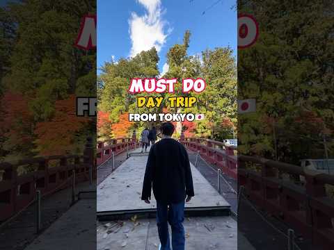 Recommended Day Trip from Tokyo #japan #traveljapan