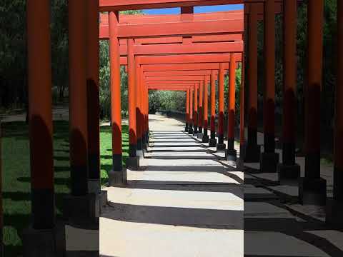 Japanese park at Tangamanga Park in San Luis Potosí, Mexico. #mexico #travel