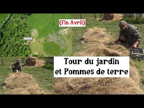 Plantation des Pommes de Terre (+ Petit Tour du Jardin)