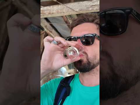 Tasting Cambodian SNAKE WINE 🐍🍷 #snake #battambang #travelshorts #cambodia #streetfood #ricewine
