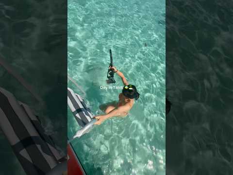 a day in Tahiti! #dayinmylife #vlog #vacation #travelvlog #travelwithme #tahiti