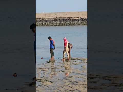 jay dwarika dhis #travelvlog #gomti nadi #vayralvedio #trendingvedio #kembal savari#mahadev #vlog