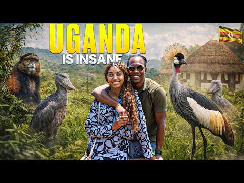 UGANDA Travel Vlog | Lake Victoria to Bwindi (Part 1 of 3)