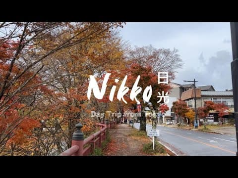 Autumn Escape from Tokyo: Nikko in 12 Hours 🍂