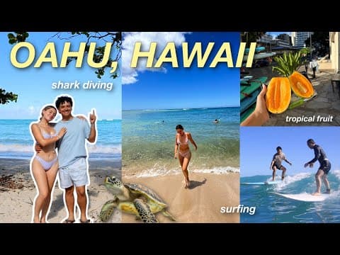 HAWAII VLOG | shark diving, surfing in Honolulu, Aulani resort 🥥 , sea turtles
