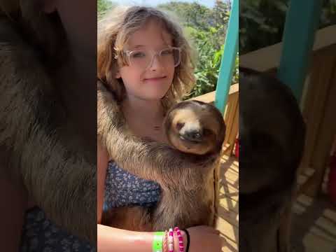 Top Things to do in Roatan