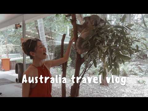 TRAVEL VLOG✈️ | 繼續跟我們和Shene在Brisbane吃吃喝喝🇦🇺 可愛的樹袋熊和袋鼠🐨 澳洲的穿搭分享👗 不捨的離別🥹