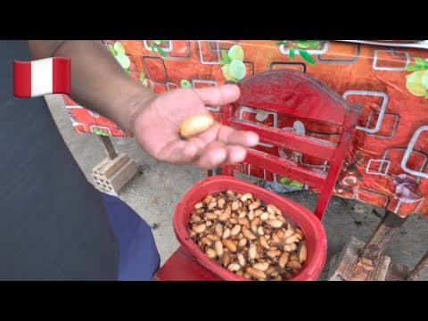 Peru's city in the Amazon | Iquitos 🇵🇪