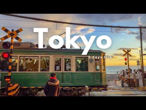 5 days in Tokyo | Asakusa, Kamakura, Shibuya, food, cafe