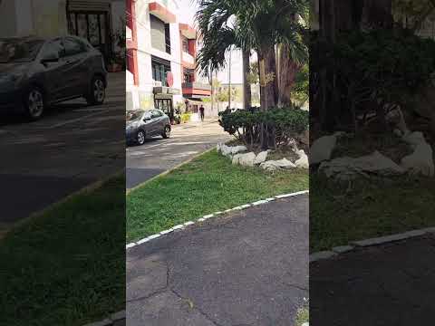 RECORRIENDO VERACRUZ #mexico #veracruz #naturaleza #video #travel