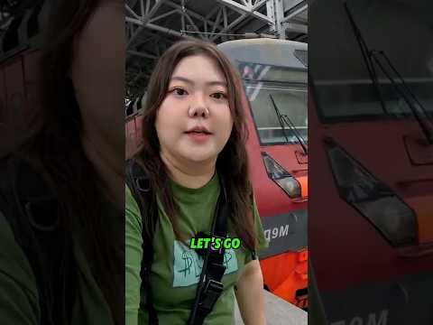 $4.16 Russian Airport Train in Vladivostok