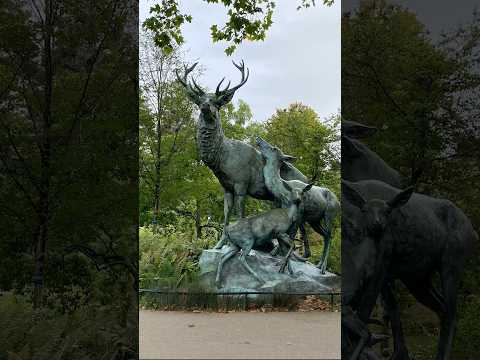 Jardin des Plantes - The Botanical Garden of Nantes #naturelovers #2024