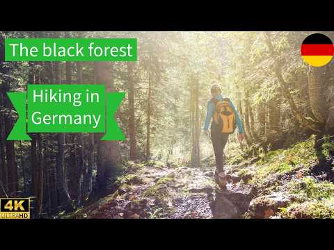 Why Todtnau is the Most Peaceful Hike in Germany