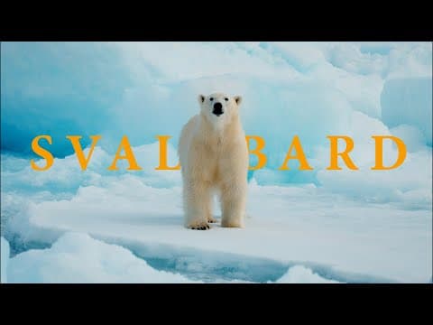 My Trip to Svalbard