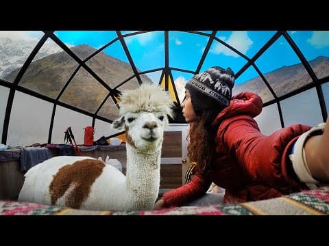 A Solo Trip to PERU, Paracas, Huacachina, Cusco, Lake Titicaca, Amazon Jungle