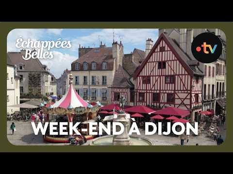 Week-end à Dijon : visite des Halles et de la rue de la Chouette - Échappées Belles 23 novembre 2024