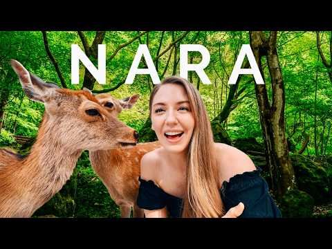 24 Hours in NARA Japan 🇯🇵 What to see, do & eat!
