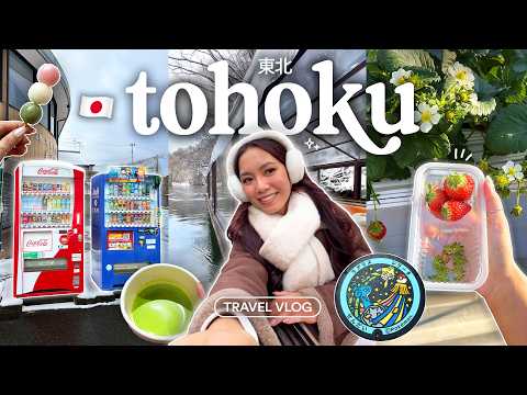 JAPAN VLOG 🇯🇵🍵🍓 tohoku's best things to do | sendai, matsushima, morioka, ichinoseki (pt. 2)