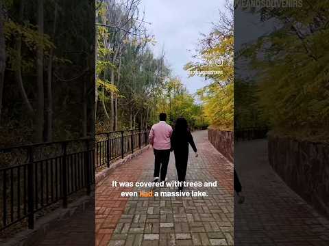 Kazakhstan Day 2 #shymkent #kazakhstanvlog #travelvlog #horsemeat #viralshort #kazakhstantravel