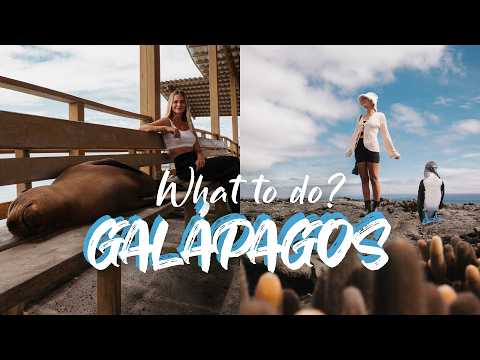 GALAPAGOS ISLANDS - What to do? | Travel Vlog