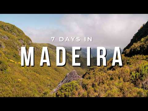 7 Days in Madeira Without a Car: Our Travel Itinerary