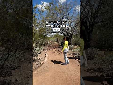 Things to do in Phoenix, Arizona #arizona #phoenix #phoenixarizona #travelvlog #springtraining