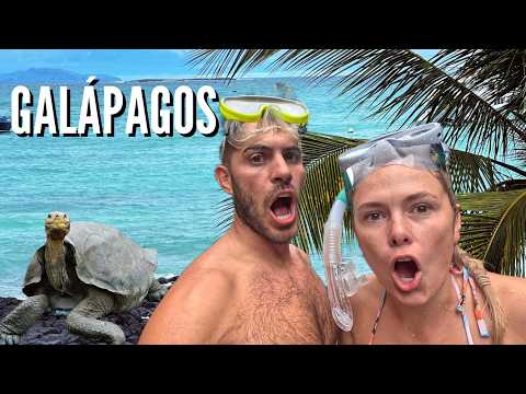 Our NEW FAVOURITE Place on Earth - GALÁPAGOS ISLANDS, Ecuador